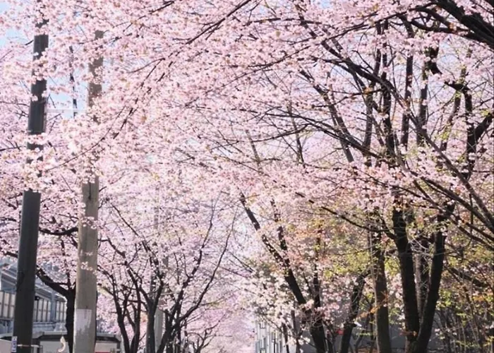 Stroll&stay 步行道住宿 Your Perfect 6mins To Wolgok Station, 3bed1bath, Streamwalk, Free Parking, Cozy And Quiet Stay, Korea Uni, Kyeonghee Uni *